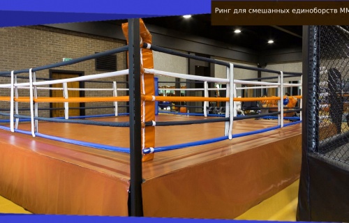 MMA (Rage) boxing ring on 1 m platform