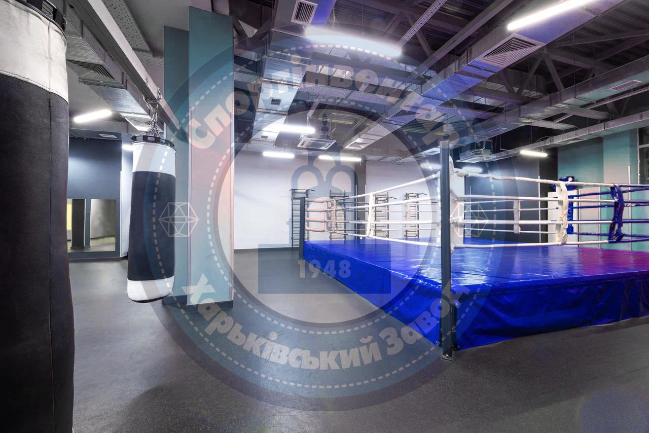 Standard boxing ring 7x7 m on 0.6 m platform