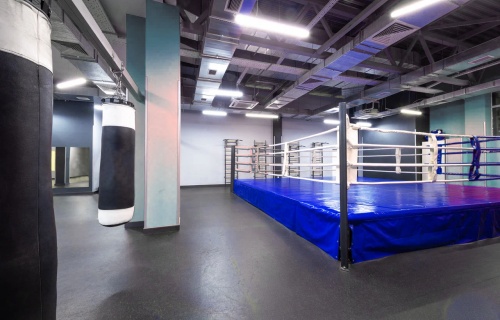 Standard boxing ring 7x7 m on 0.6 m platform
