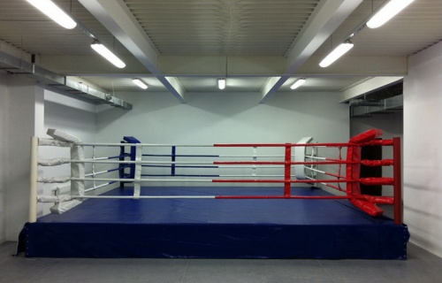 Standard boxing ring 6x6 m on 0.6 m platform