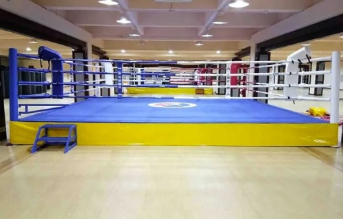 Standard boxing ring 5x5 m on 0.3 m platform