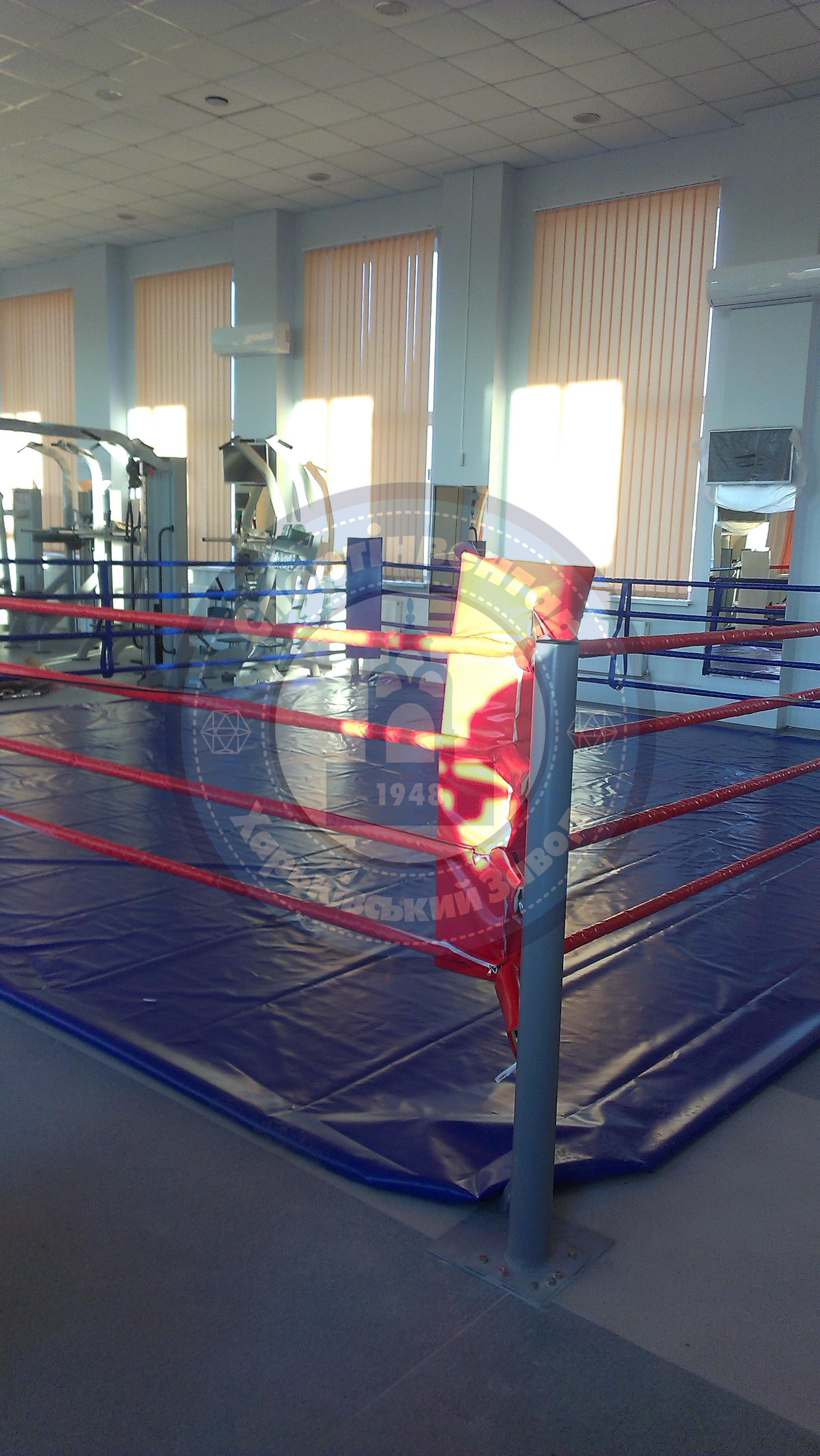 Floor training ring 4x4 m