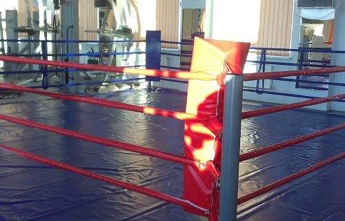 Floor training ring 4x4 m