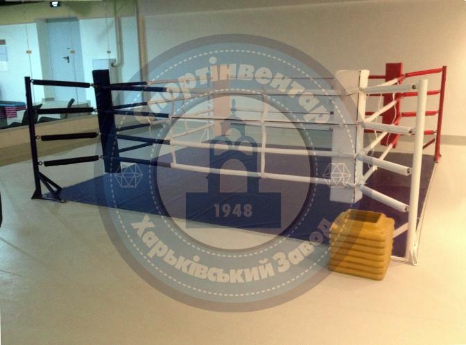Floor training ring 3x3 m