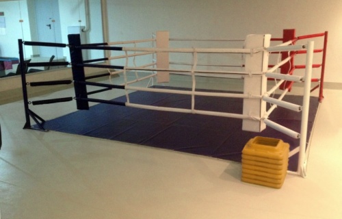 Floor training ring 3x3 m