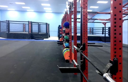 Multi-stations for boxing gyms